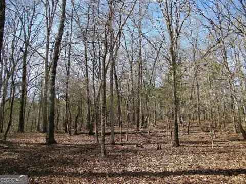 Large Wooded Lot in Elberton
