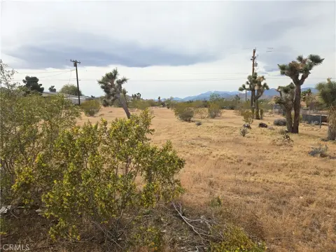 Residential Lot in Yucca Valley