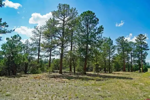 Land with Mountain Views