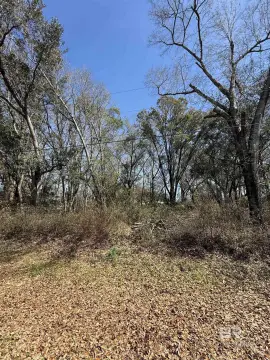 Residential Lot in Silverhill