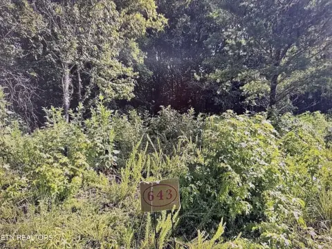 Lakefront Gated Community Lot