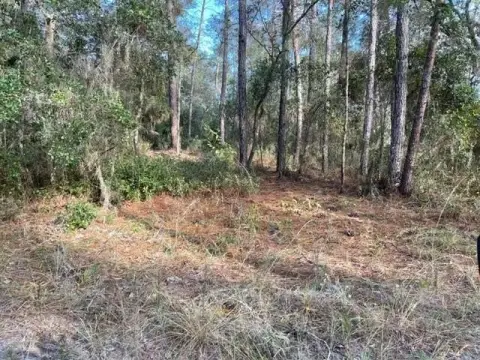 Residential Land in Satsuma, Florida