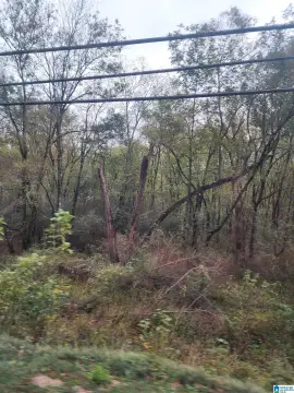 Bessemer Land with Fertile Soil