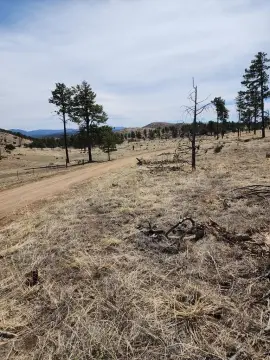 6.7 Acres Ready to Build