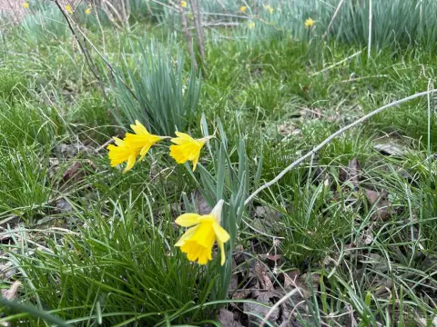 36 Acres Hunting Getaway