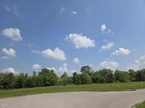 Republic, MO Commercial Lot
