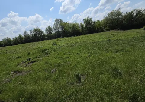 Republic, MO Commercial Lot