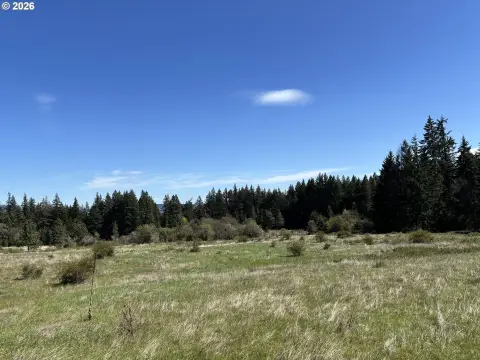 Land with Vineyard Potential