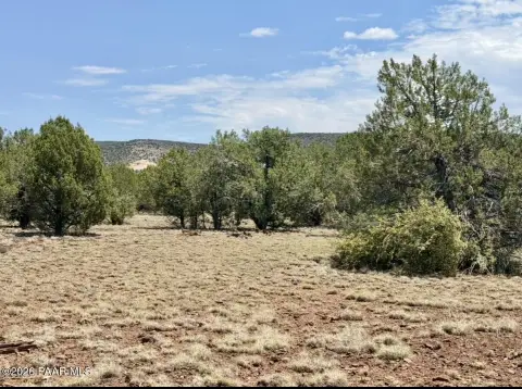 Recreation Land Parcel with Trees