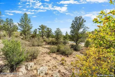 Panoramic View Homesite Land Parcel