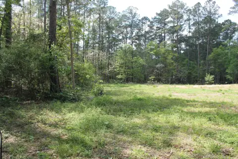 Residential Land in Tallahassee, FL