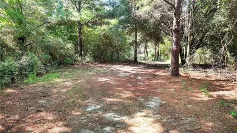 Wooded Rural Land