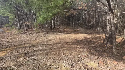 Old Fort Acreage For Sale