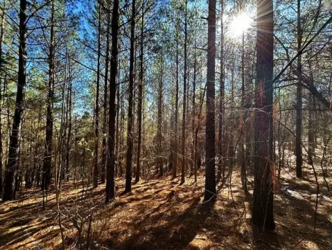 Unrestricted Acreage Near Tennessee River