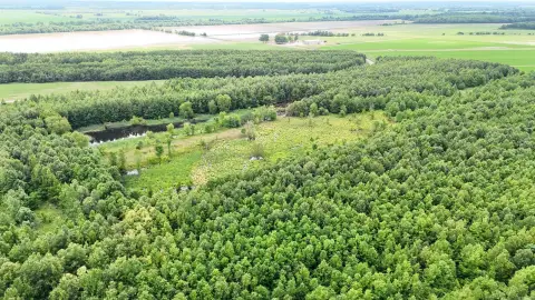 Prime Hunting Land with Duck Pond