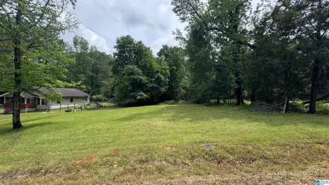 Residential Land in MCCALLA, AL