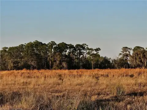 Agricultural Pastureland with Creek