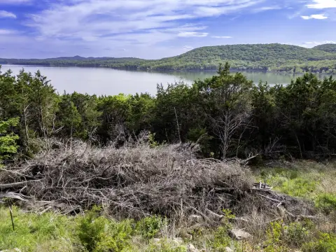 Shell Knob Waterfront Wooded Lot