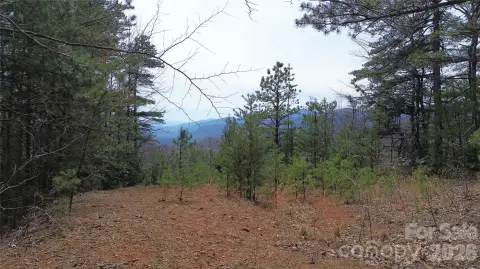 Old Fort Homesite Opportunity