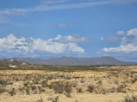 20-Acre Rural Land Tract