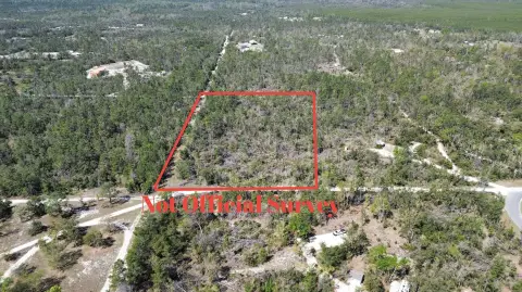 Land Near Florida's Big Bend