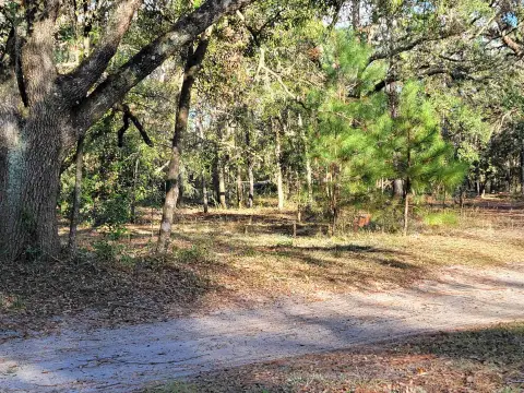 8.47 Acres in Perry, FL