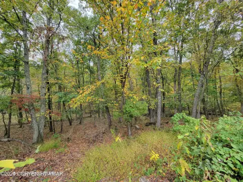 5.97 Acres in East Stroudsburg