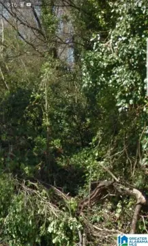 Land For Sale, Anniston, AL