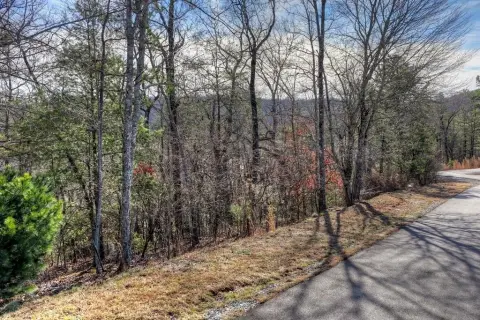 Mountain View Homesite in Golf Community