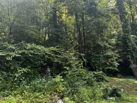 Unrestricted Mountain Land