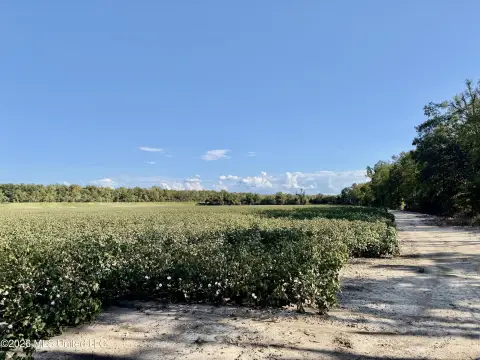 Riverfront Agricultural Land