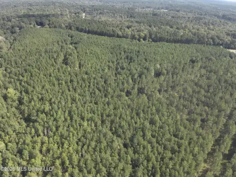 Agricultural Land with Timber