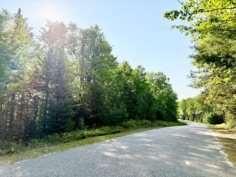 Wooded Residential Building Parcel