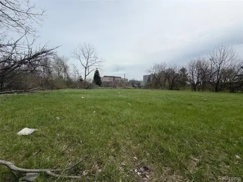 Detroit Land Bundle Opportunity