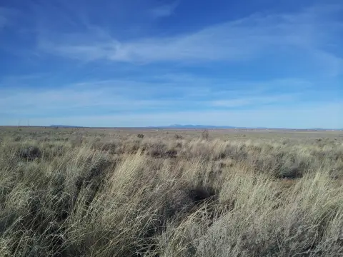 Rio Rancho 5-Acre Land Parcel