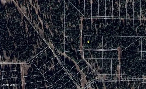 Wooded Corner Land Parcel