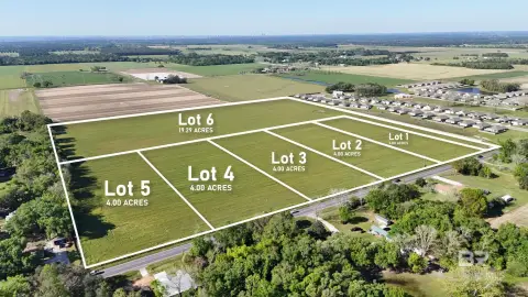 Farmland Opportunity in Lillian, Alabama