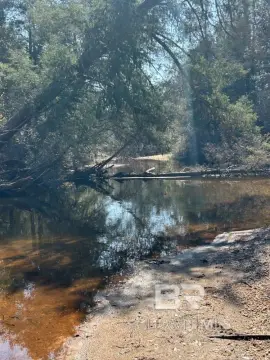 Land Along Little Escambia Creek