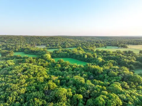 Wooded Recreational Land