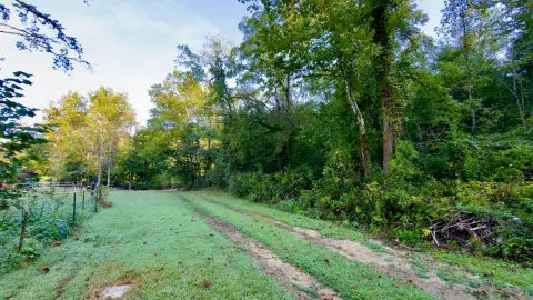 Wooded Hunting Land with Ridge