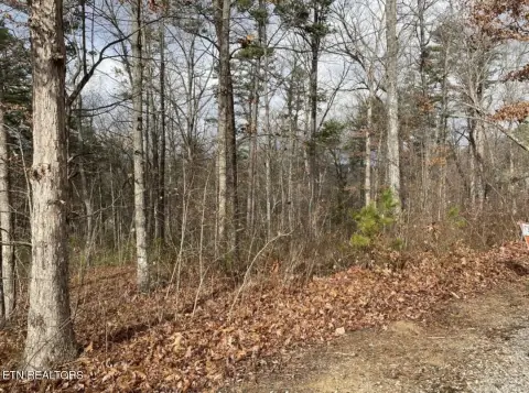 Equestrian Land in Gated Community