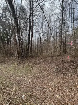 Residential Land in Decatur, TN