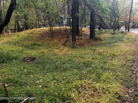 Buildable Lot in Effort, PA