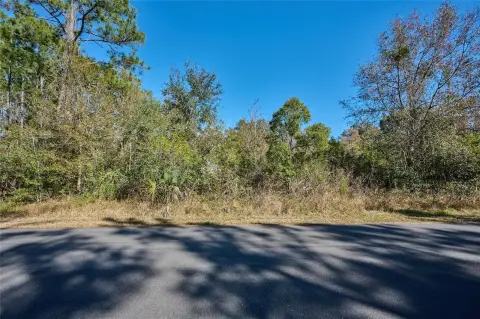 Waterfront Land in Indian Lake Estates