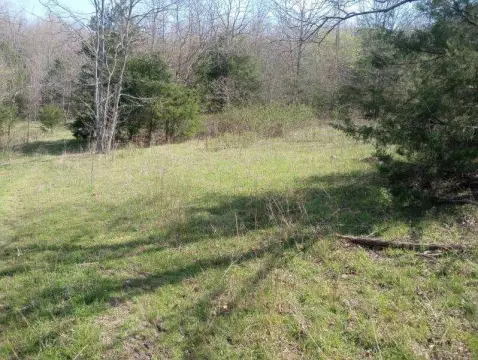 12.97 Acres Wooded Land