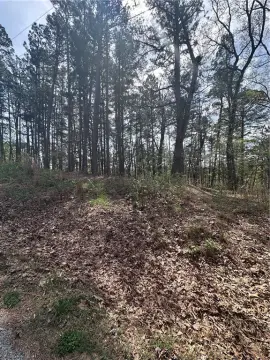 Wooded Lot Near Back 40