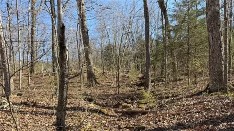 Ozark Land Near White River