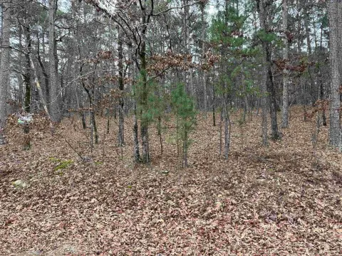 Residential Lot Near Lake Coronado