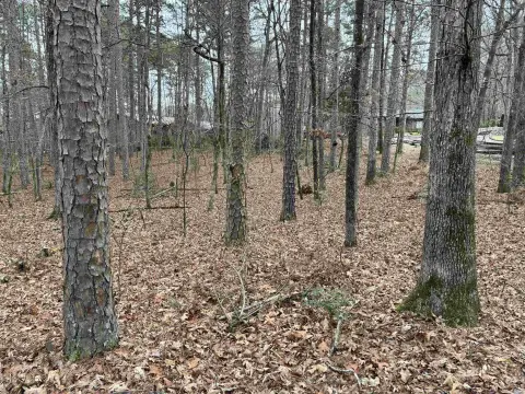 Residential Lot in Hot Springs