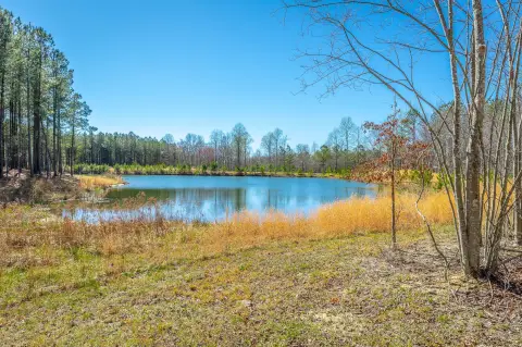 Jasper Highlands Wooded Homesite